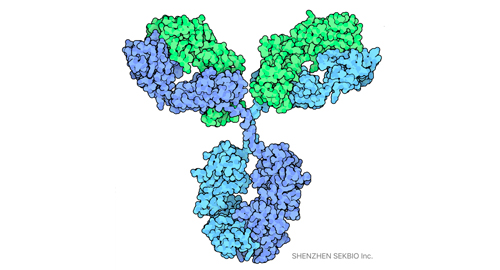 SEKBIO Antigen/Antikörper Produkte