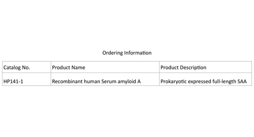 Rekombinanten Humanen Serum Amyloid EINE (SAA)