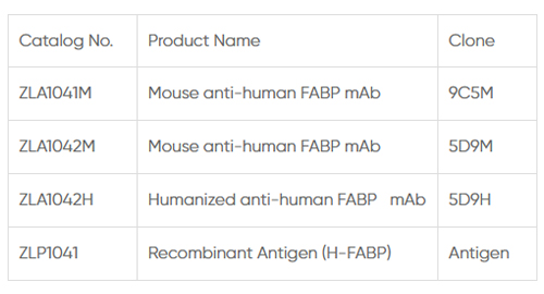 Herz-typ Fettsäure Binding Protein (H-FABP)